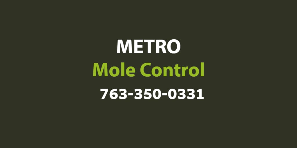 Metro Mole Control